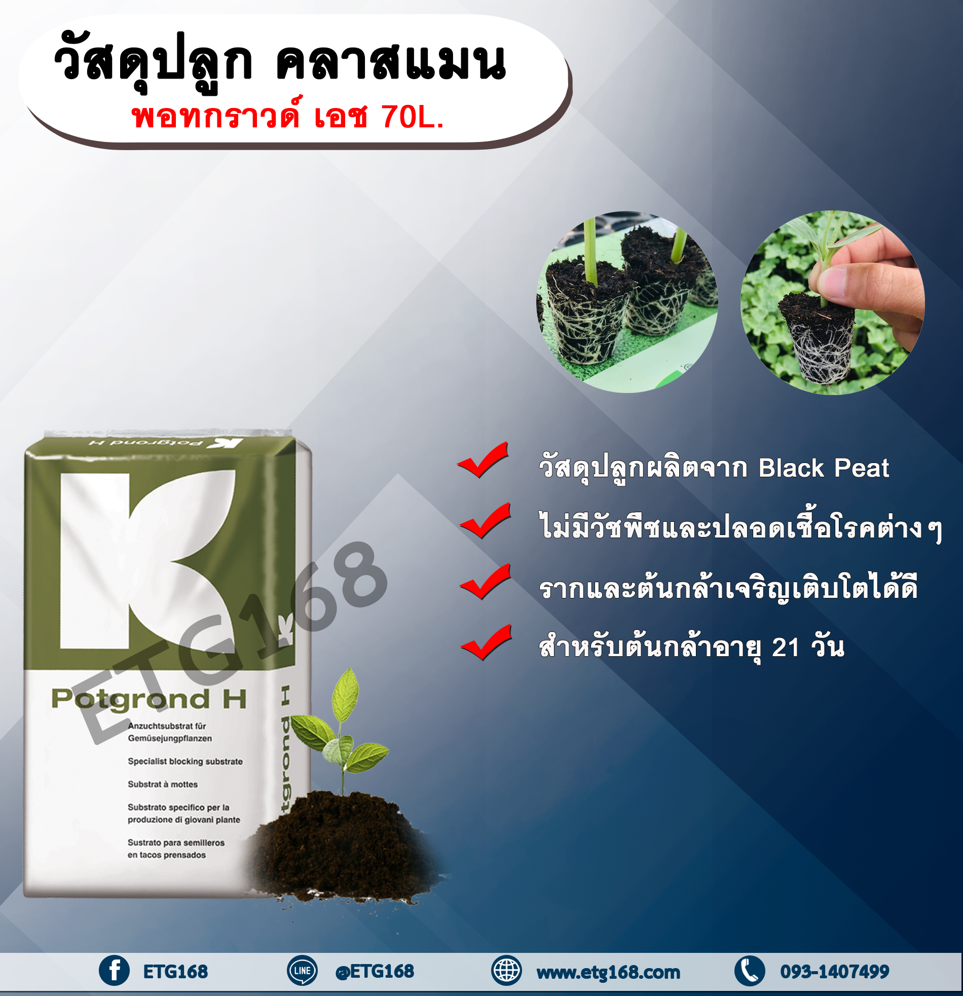 วัสดุปลูก คลาสแมน พอทกราวด์ เอช 70L. แบล็คพีท พีทมอส ดินเพาะ วัสดุเพาะกล้า ดินเพาะต้นกล้า ดินปลูก (1 คำสั่งซื้อต่อ 1 ออเดอร์)