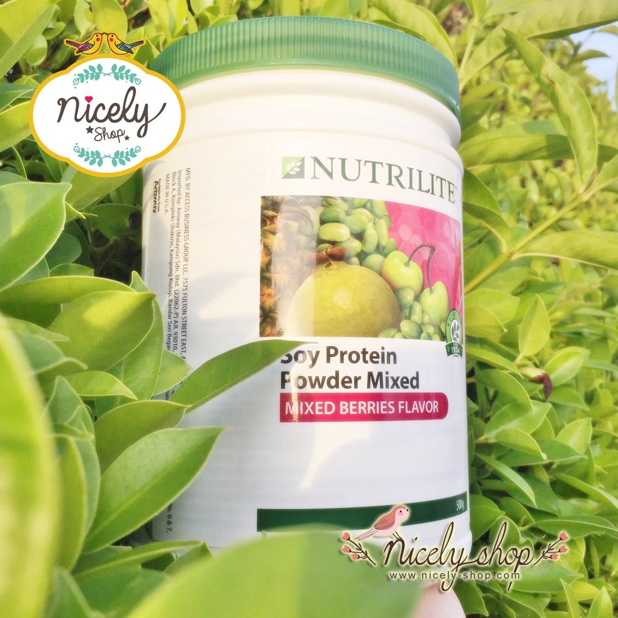 Protein Drink Mix Berries เบอรี่เป็นแหล่งกรดฟีโนลิก วิตCและโฟเลตฟื้นฟูคอลลาเจน500 g หอม อร่อย