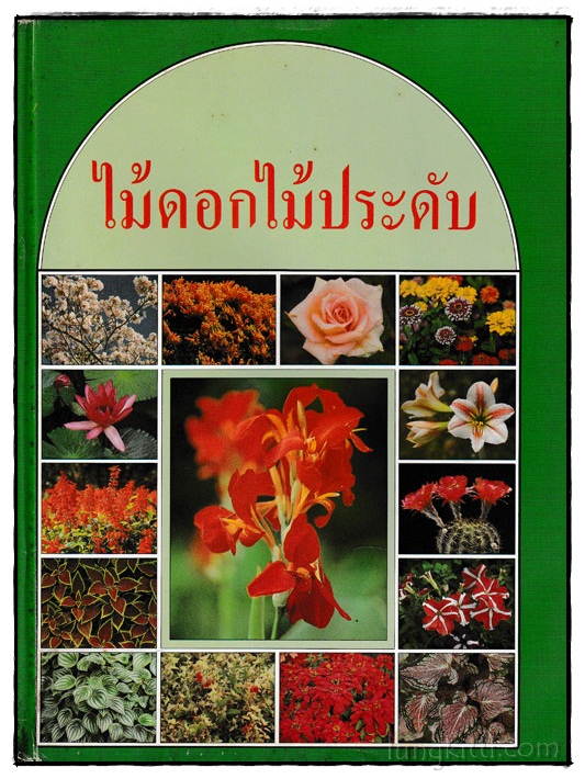ไม้ดอกไม้ประดับ 024399 (1)