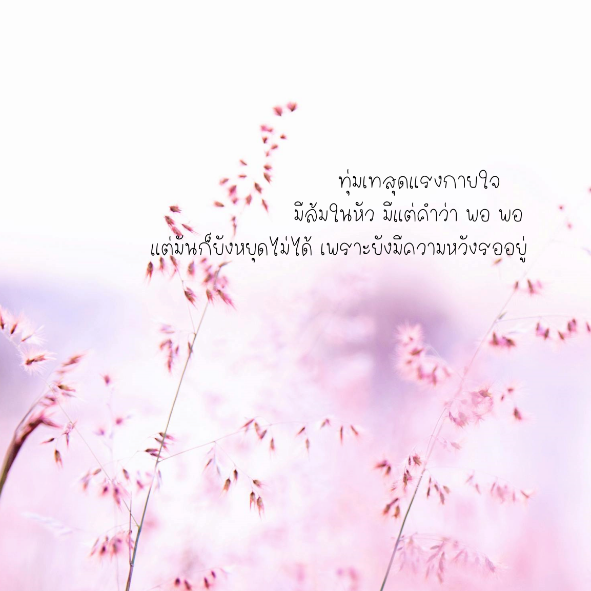 ฟอนต์นูร่าไอริส