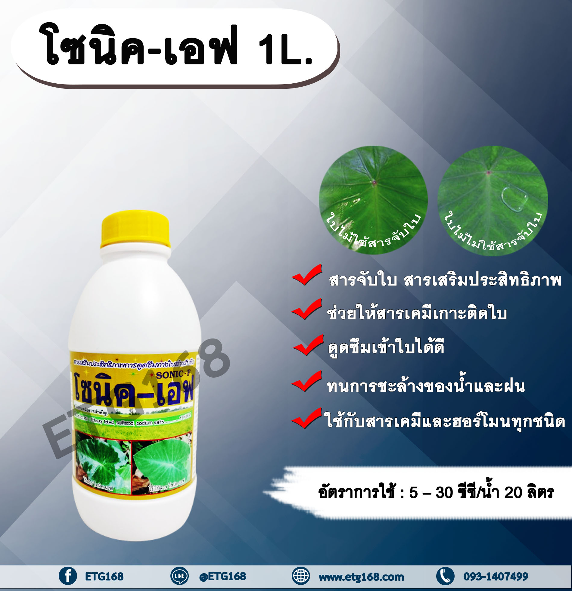 โซนิคเอฟ - โซนิค-80 1L. (คละแบบ) สารจับใบ สารเคลือบใบ สารเสริมประสิทธิภาพทางใบ สารเคมีเกาะติดใบพืช สารเคมีดูดซึมเข้าใบพืช