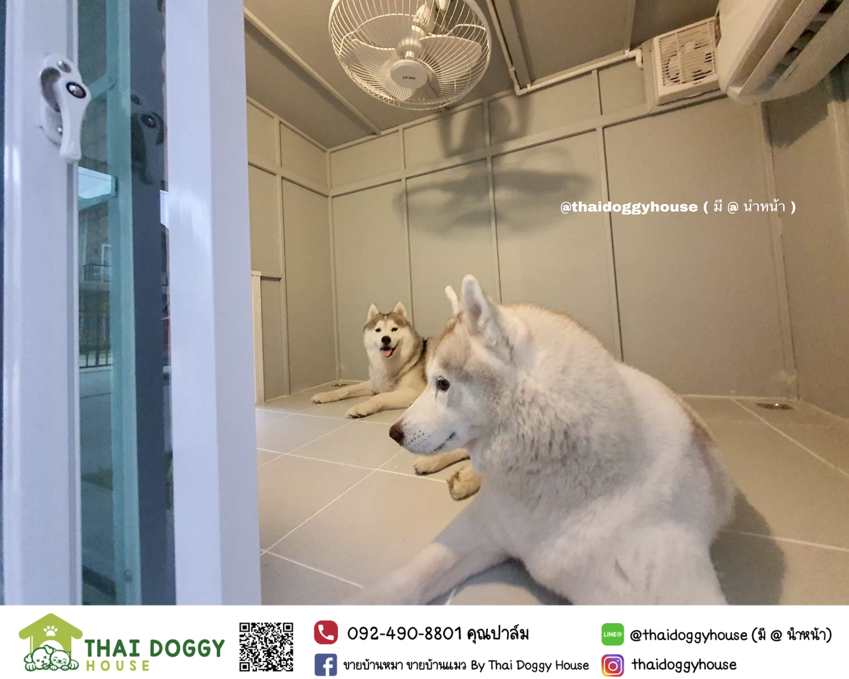 บ้านน้องหมา บ้านน้องแมว box style รองรับการติดแอร์