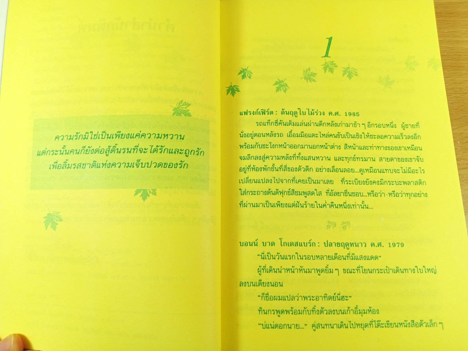 เมเปิลแดง