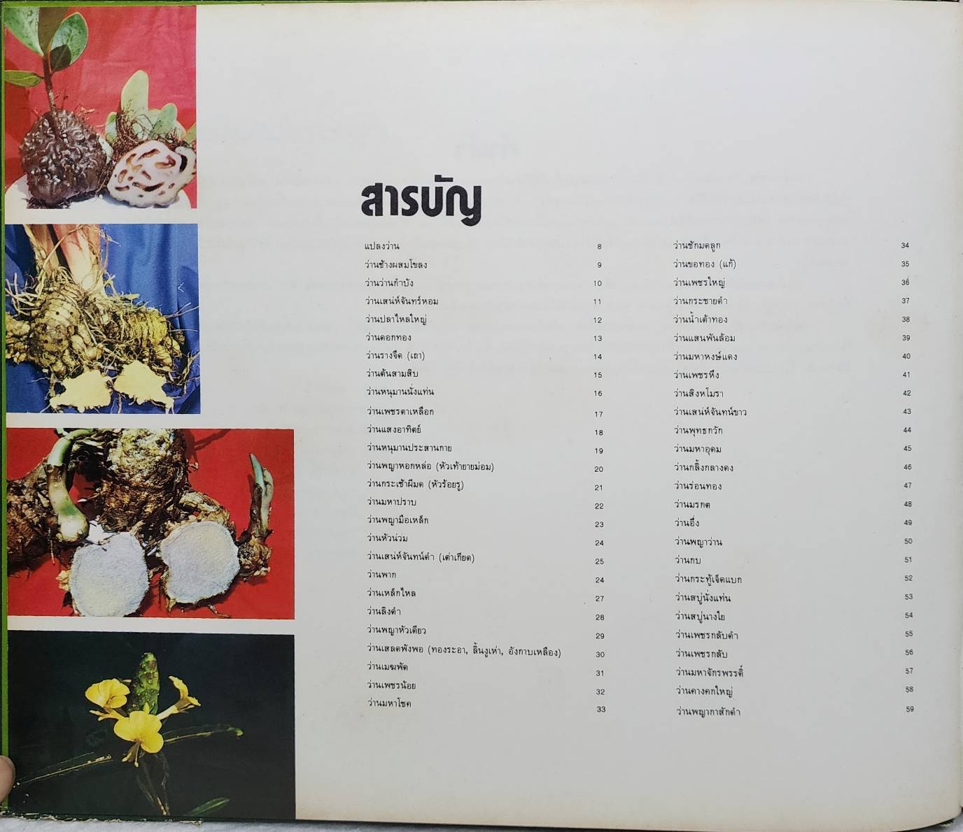 ตะลุยดงว่าน SKU-10019
