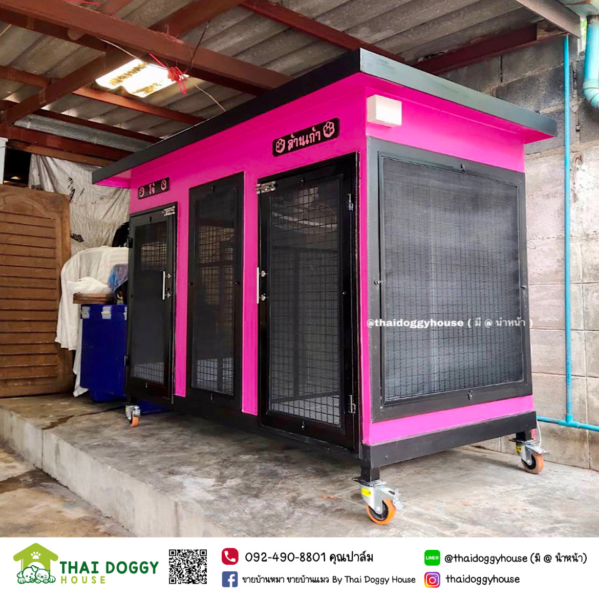 บ้านหมา บ้านแมว โทนสีแบล็คพิ้ง " BOX STYLE" ดีไซน์ทันสมัย สามารถกั้นห้อง 2 ห้องได้นะ