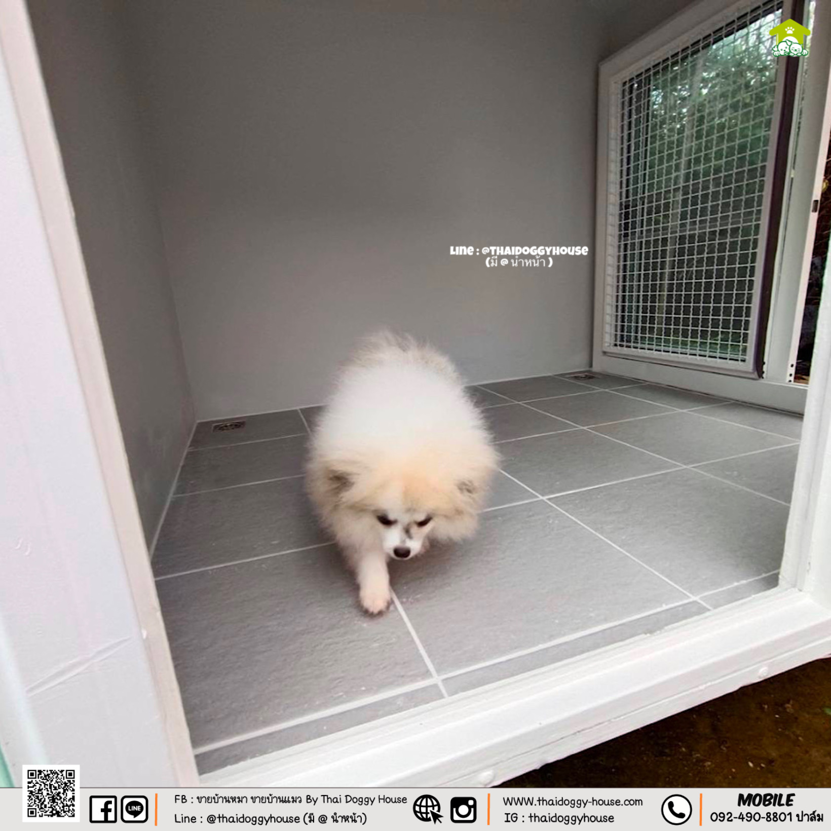 บ้านหมา บ้านแมว " 𝐍𝐎𝐑𝐃𝐈𝐂 𝐒𝐓𝐘𝐋𝐄 𝐁𝐘 𝐓𝐇𝐀𝐈 𝐃𝐎𝐆𝐆𝐘 𝐇𝐎𝐔SE