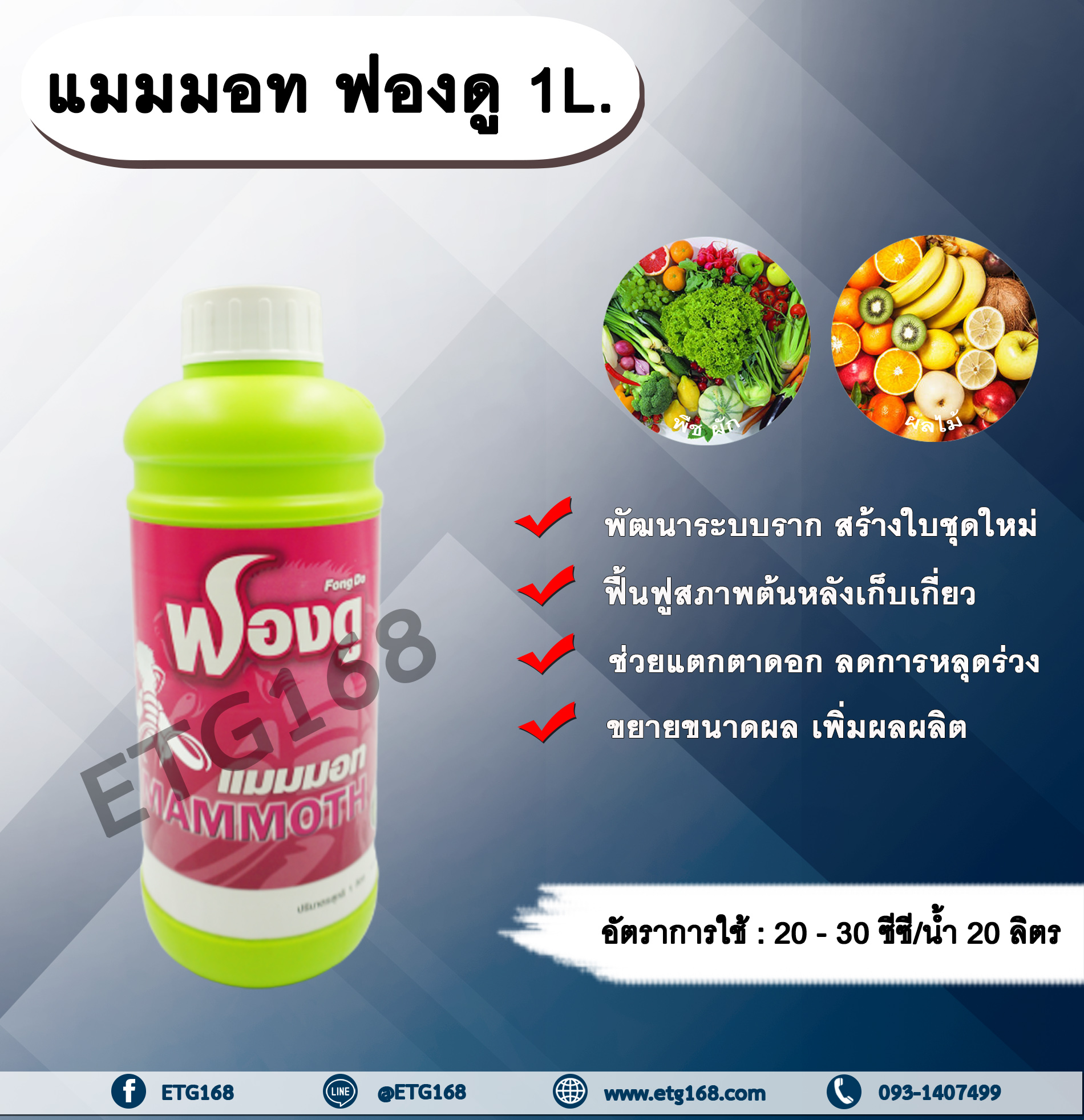 แมมมอท ฟองดู 1L. ฮอร์โมนพืช อาหารเสริมพืช อะมิโนสาหร่ายเขียวมรกต เร่งราก สร้างใบใหม่