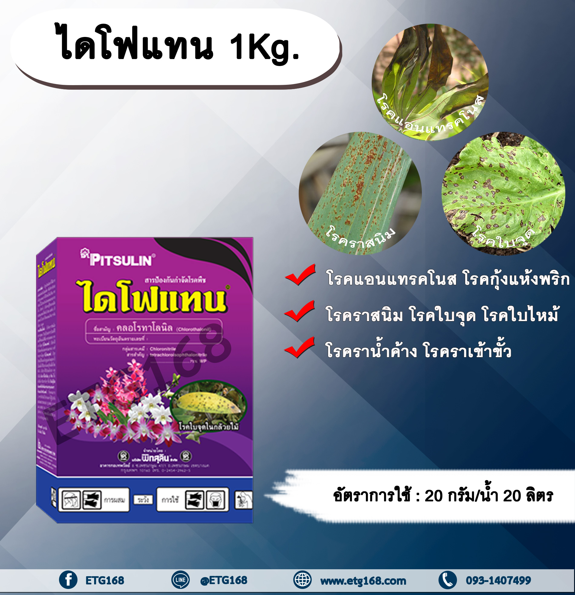 ไดโฟแทน 1Kg. คลอโรทาโลนิล สารกำจัด โรคพืช เชื้อรา โรคราสนิม โรคใบจุด โรคใบไหม้ โรคราน้ำค้าง โรคแอนแทรคโนส โรคกุ้งแห้งพริก โรคราเข้าขั้วในไม้ผล