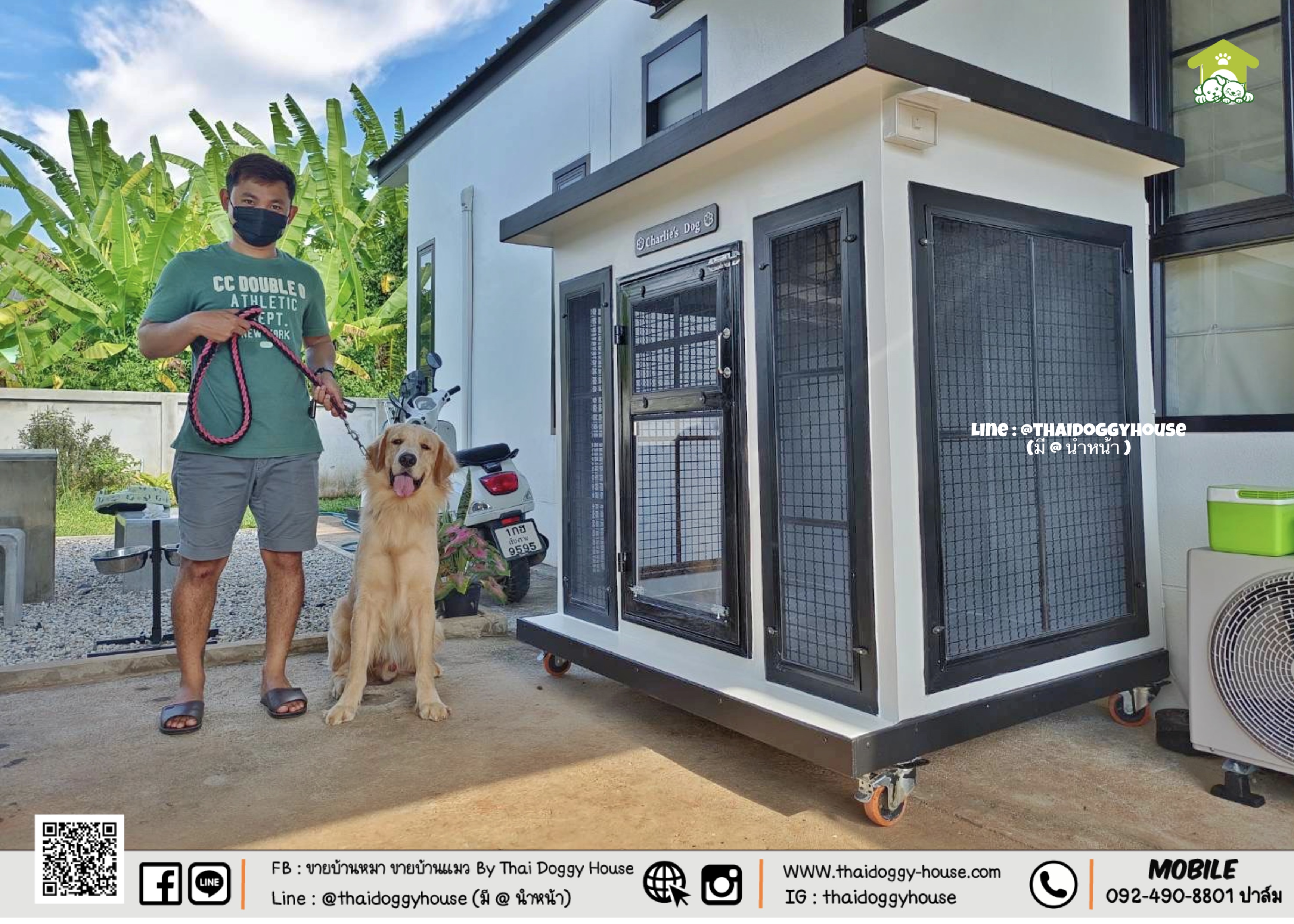 บ้านหมา บ้านแมว " 𝐁𝐎𝐗 𝐒𝐓𝐘𝐋𝐄 𝐁𝐘 𝐓𝐇𝐀𝐈 𝐃𝐎𝐆𝐆𝐘 𝐇𝐎𝐔𝐒𝐄 " &#x