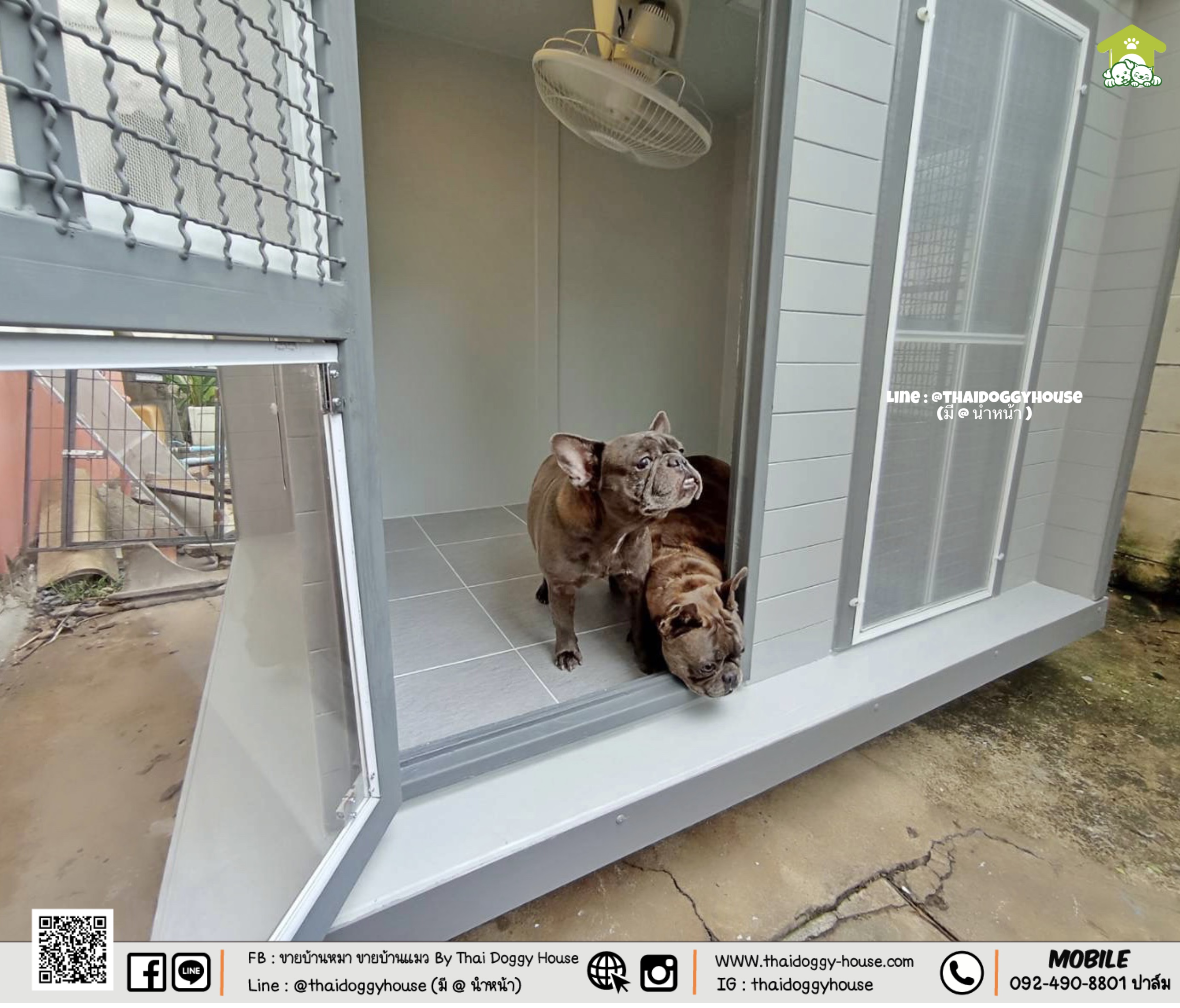 บ้านหมา บ้านแมว " 𝐁𝐎𝐗 𝐒𝐓𝐘𝐋𝐄 𝐁𝐘 𝐓𝐇𝐀𝐈 𝐃𝐎𝐆𝐆𝐘 𝐇𝐎𝐔𝐒𝐄 "