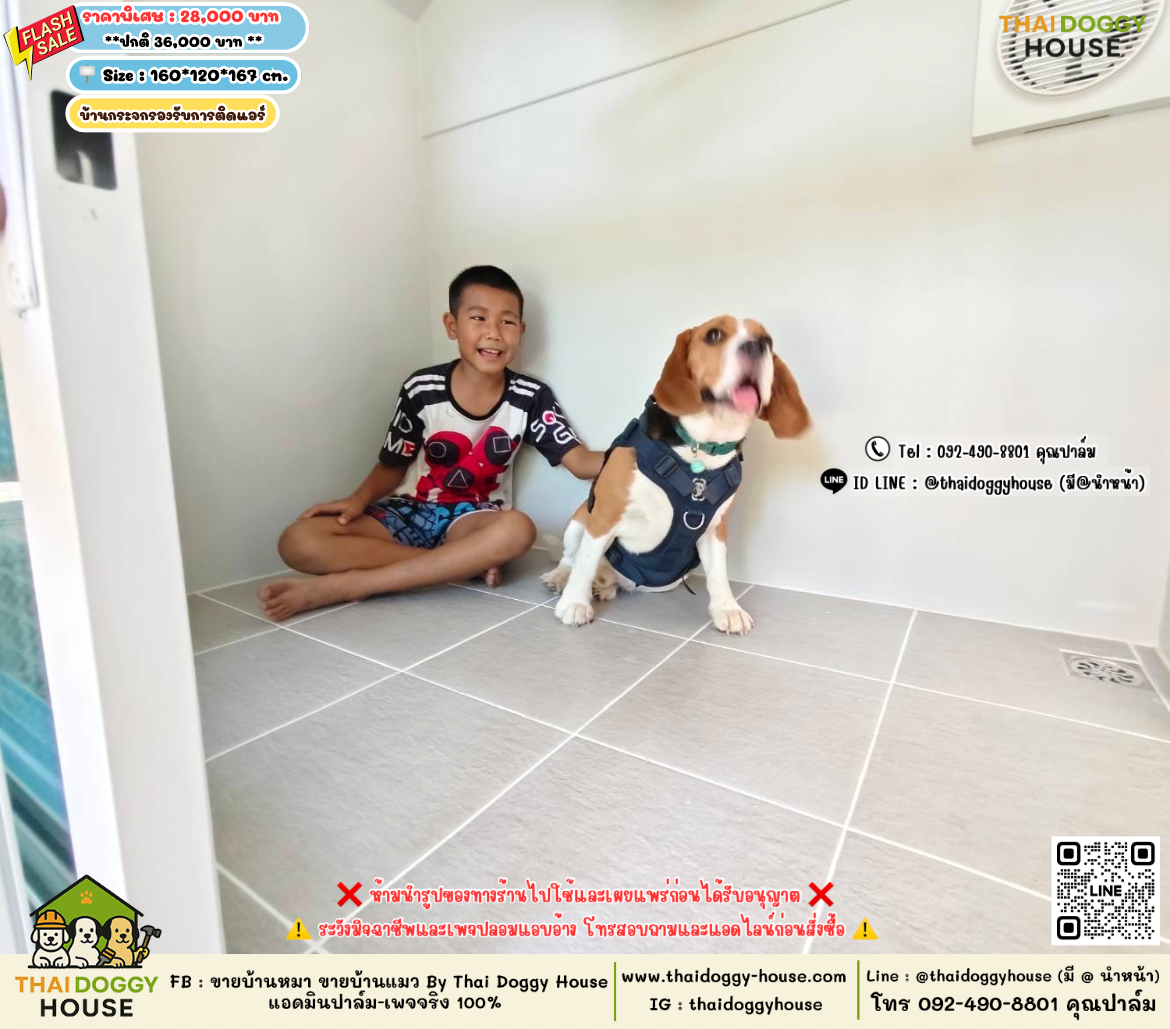 บ้านหมา บ้านแมว 𝐓𝐡𝐚𝐢 𝐝𝐨𝐠𝐠𝐲 𝐡𝐨𝐮𝐬𝗲
