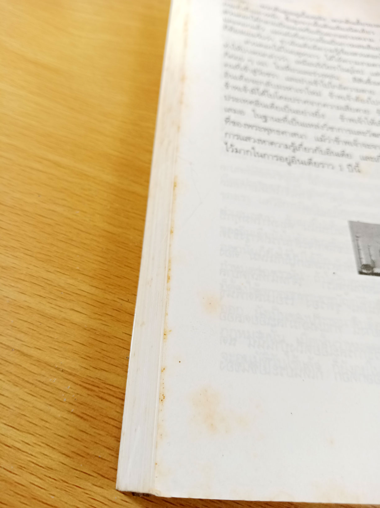 ของดีในอินเดีย เปิดประตูสู่ต้นกำเนิดพุทธศาสนา