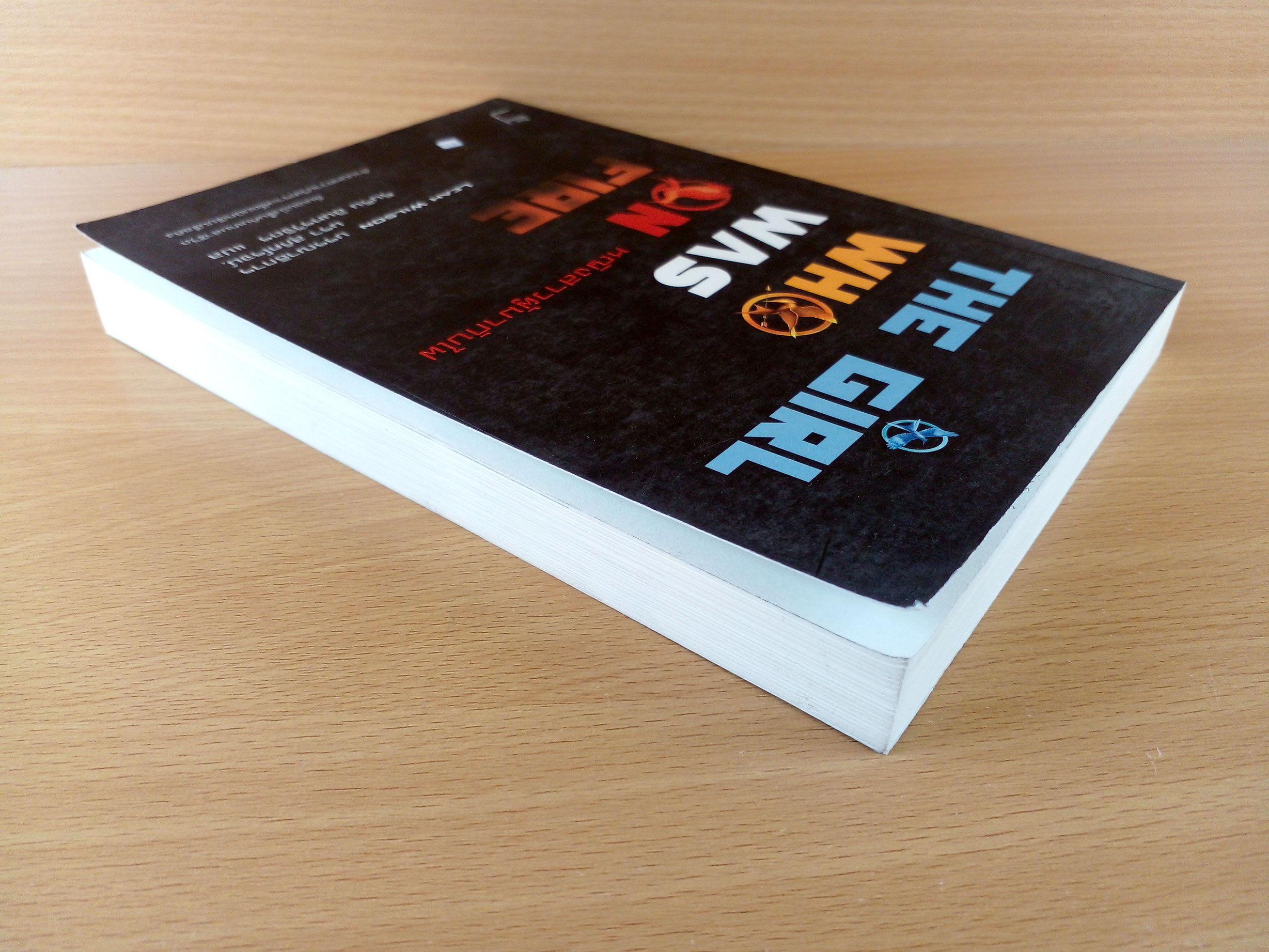 The Girl Who Was on Fire หญิงสาวผู้มากับไฟ (รวมบทความวิเคราะห์)