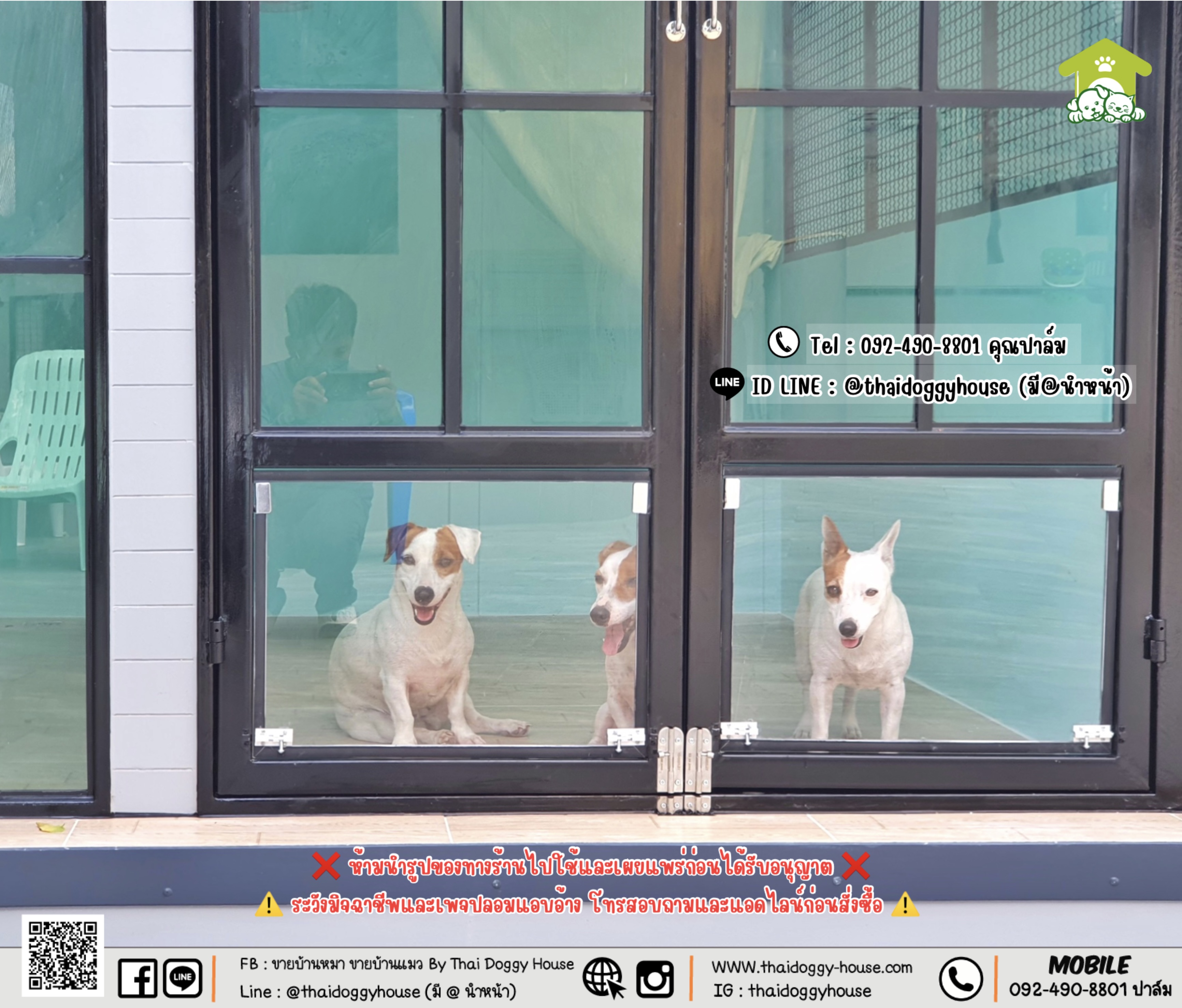 บ้านหมา บ้านแมว 𝐓𝐡𝐚𝐢 𝐝𝐨𝐠𝐠𝐲 𝐡𝐨𝐮𝐬𝐞 แบบบ้าน 𝐁𝐨𝐱 𝐒𝐭𝐲𝐥𝐞 #บ้านกระจกรองรับการติดแอร์