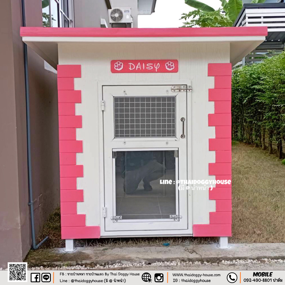 บ้านหมา บ้านแมว บ้านน็อคดาวน์ บ้านสัตว์เลี้ยง แบบพัดลมมีตะแกรงเหล็ก มุ้งลวดทุกหลัง By Thai Doggy House