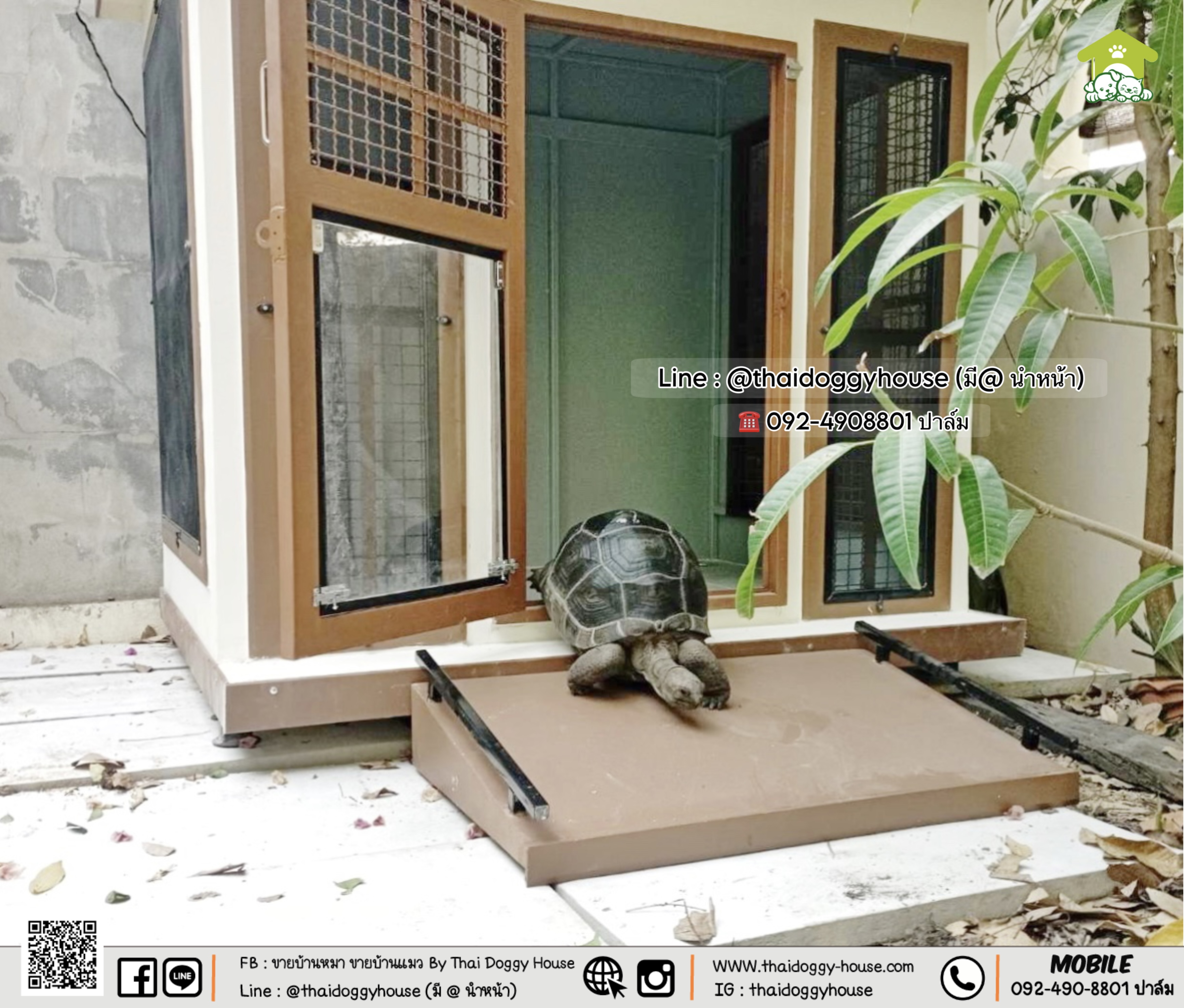 บ้านน้องเต่า 𝐓𝐇𝐀𝐈 𝐃𝐎𝐆𝐆𝐘 𝐇𝐎𝐔𝐒𝐄 🐢🐢 𝐁𝐎𝐗 𝐒𝐓𝐘𝐋𝐄