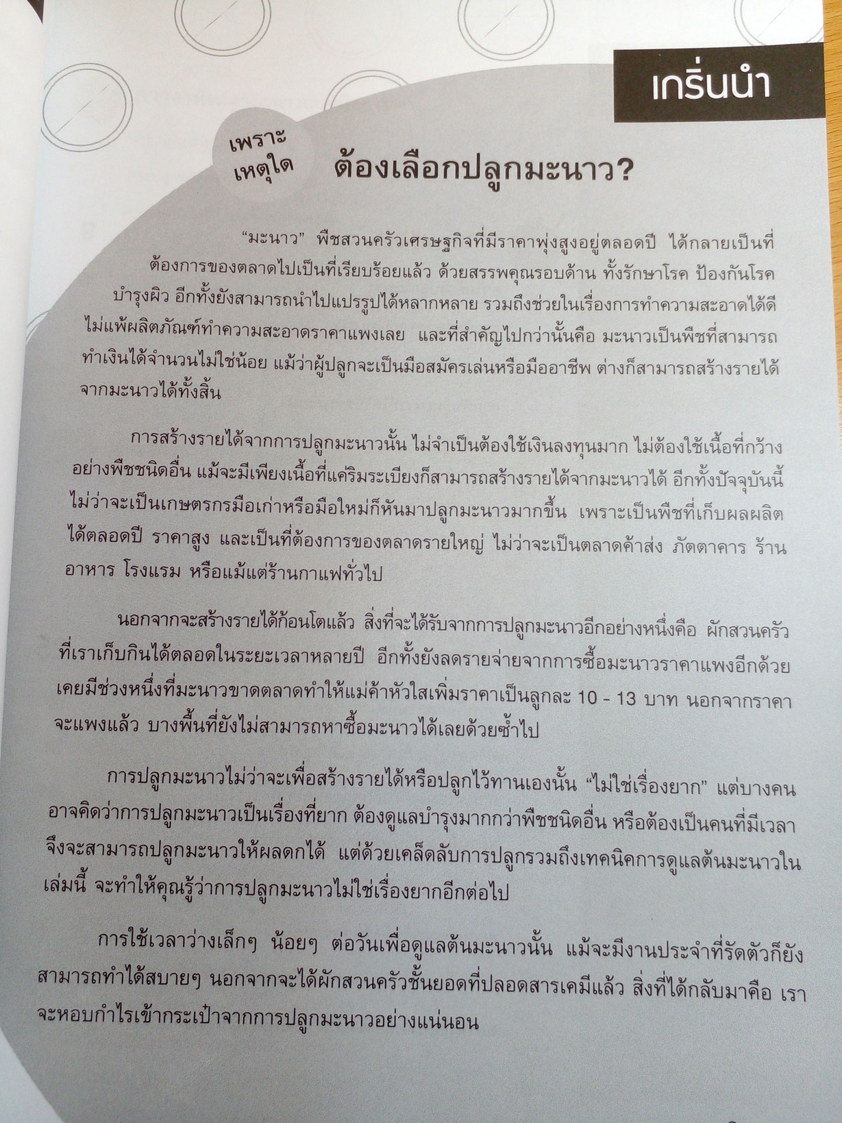 สร้างกำไรด้วยการปลูกมะนาว+ขายต้นกล้า