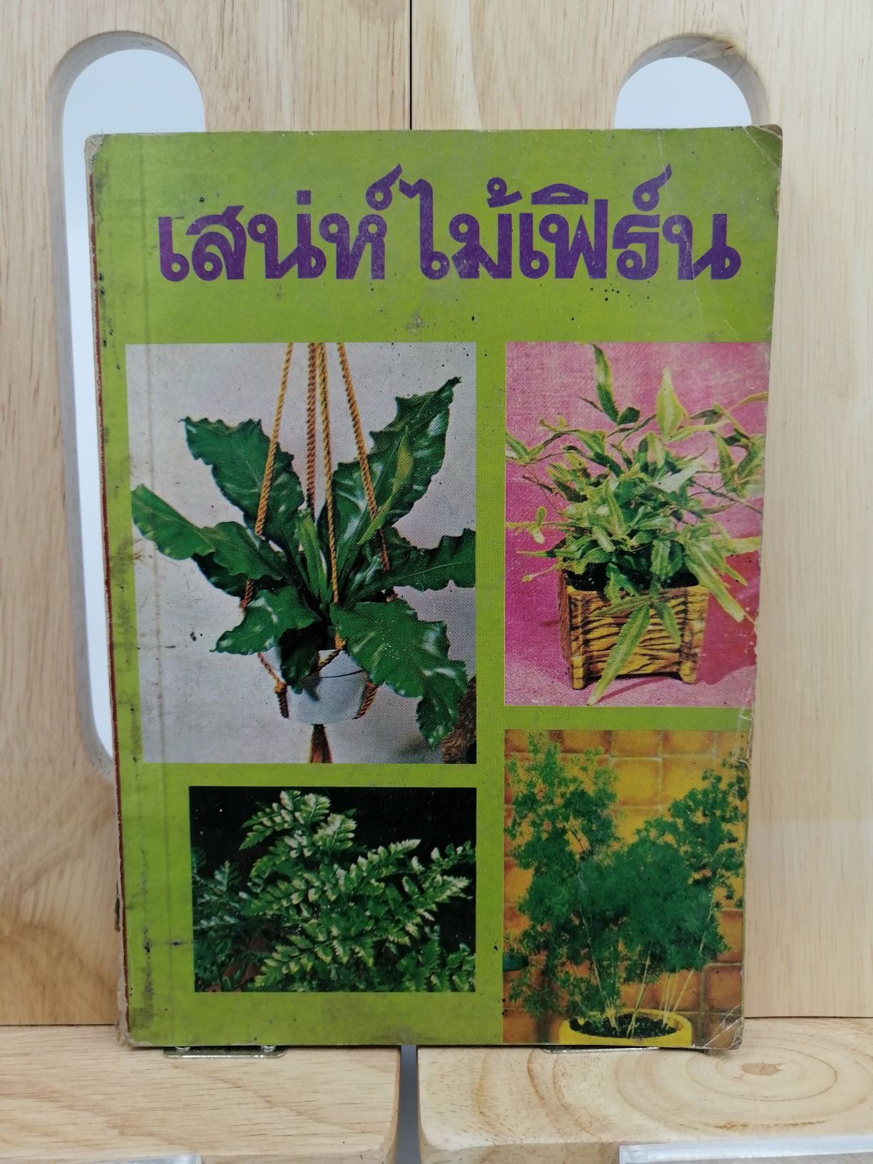 [หนังสือเก่า/ หนังสือมือสอง/ หนังสือหายาก] เสน่ห์ไม้เฟิร์น