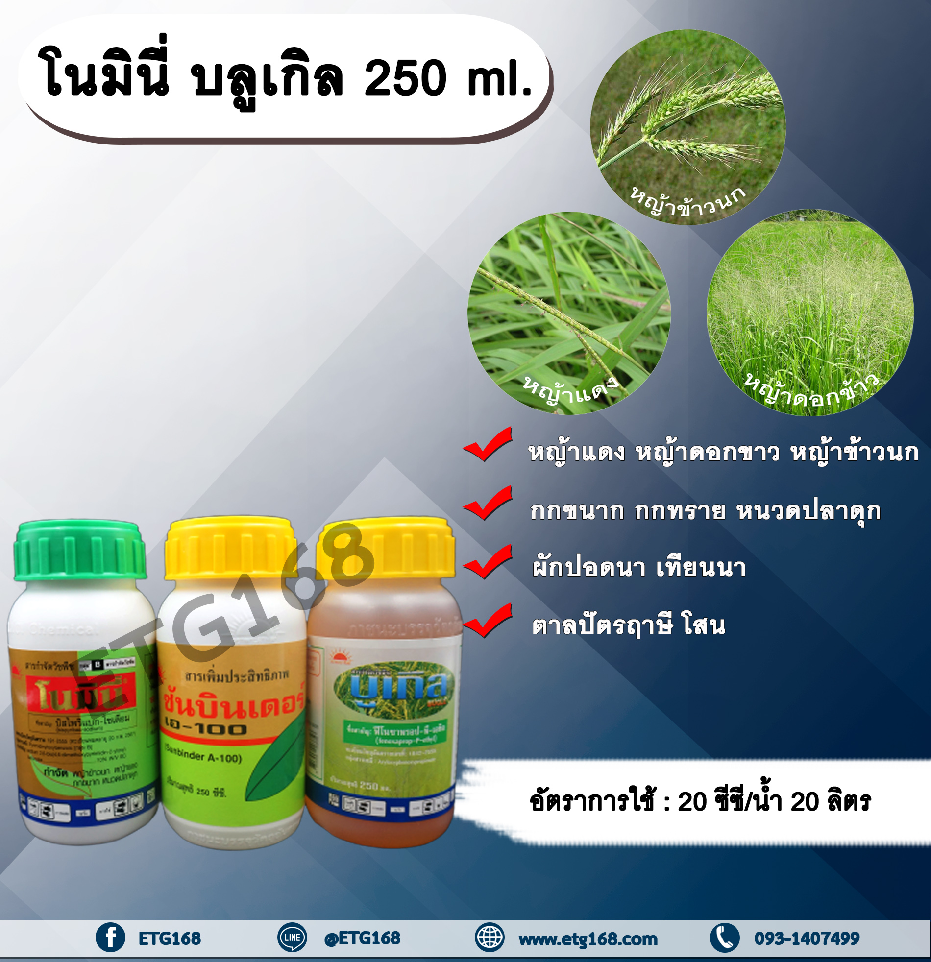 โนมินี่ บลูเกิล 250ml.+250ml. บิสไพริแบค-โซเดียม+ฟีโนซาพรอป-พี-เอทิล กำจัดหญ้าในนาข้าว