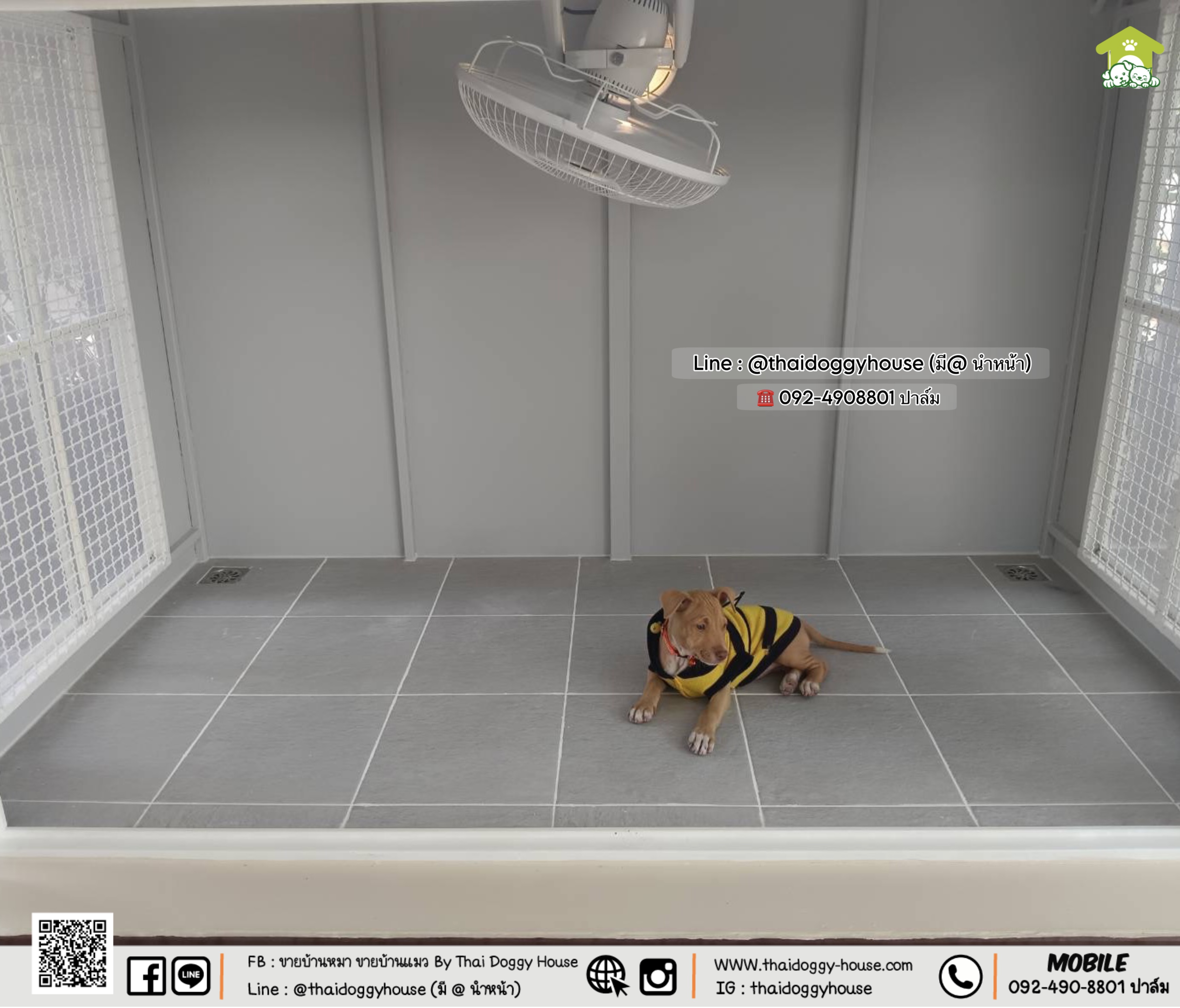 🏡 บ้านหมา บ้านแมว " 𝐁𝐎𝐗 𝐒𝐓𝐘𝐋𝐄 𝐁𝐘 𝐓𝐇𝐀𝐈 𝐃𝐎𝐆𝐆𝐘 𝐇𝐎𝐔𝐒𝐄