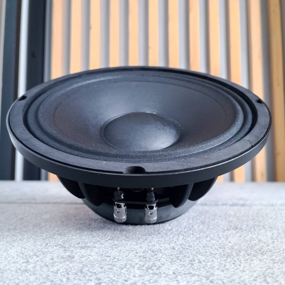 NPE PRO-10 ดอกลำโพง 10นิ้ว โครงหล่อ ลำโพง ขนาด 10 นิ้ว PRO 10 กำลังขับ 200 วัตต์ ที่ 8 โอห์ม PRO10 เอไอ-ไพศาล