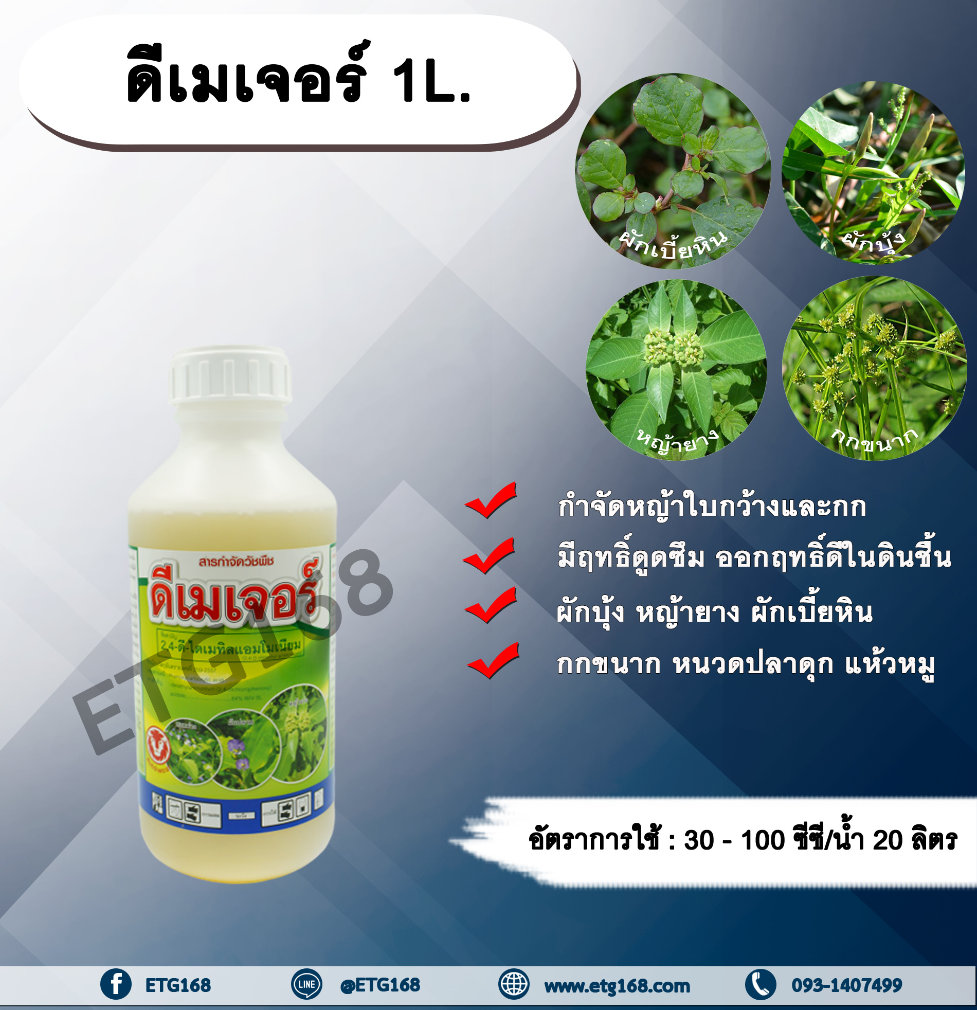 ดีเมเจอร์ 1L. 24ดี ไดเมทิลแอมโมเนียม ทูโฟดี สารกำจัดหญ้า กำจัดวัชพืช แบบดูดซึม ใบกว้าง
