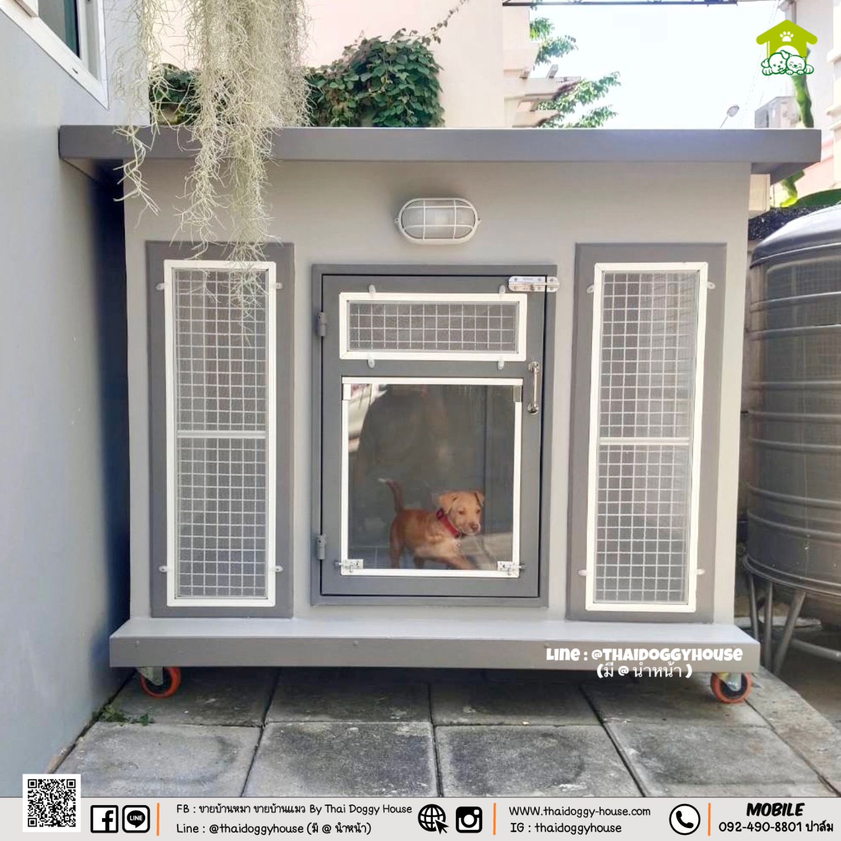 บ้านหมา บ้านแมว " 𝐁𝐎𝐗 𝐒𝐓𝐘𝐋𝐄 𝐁𝐘 𝐓𝐇𝐀𝐈 𝐃𝐎𝐆𝐆𝐘 𝐇𝐎𝐔𝐒𝐄 "