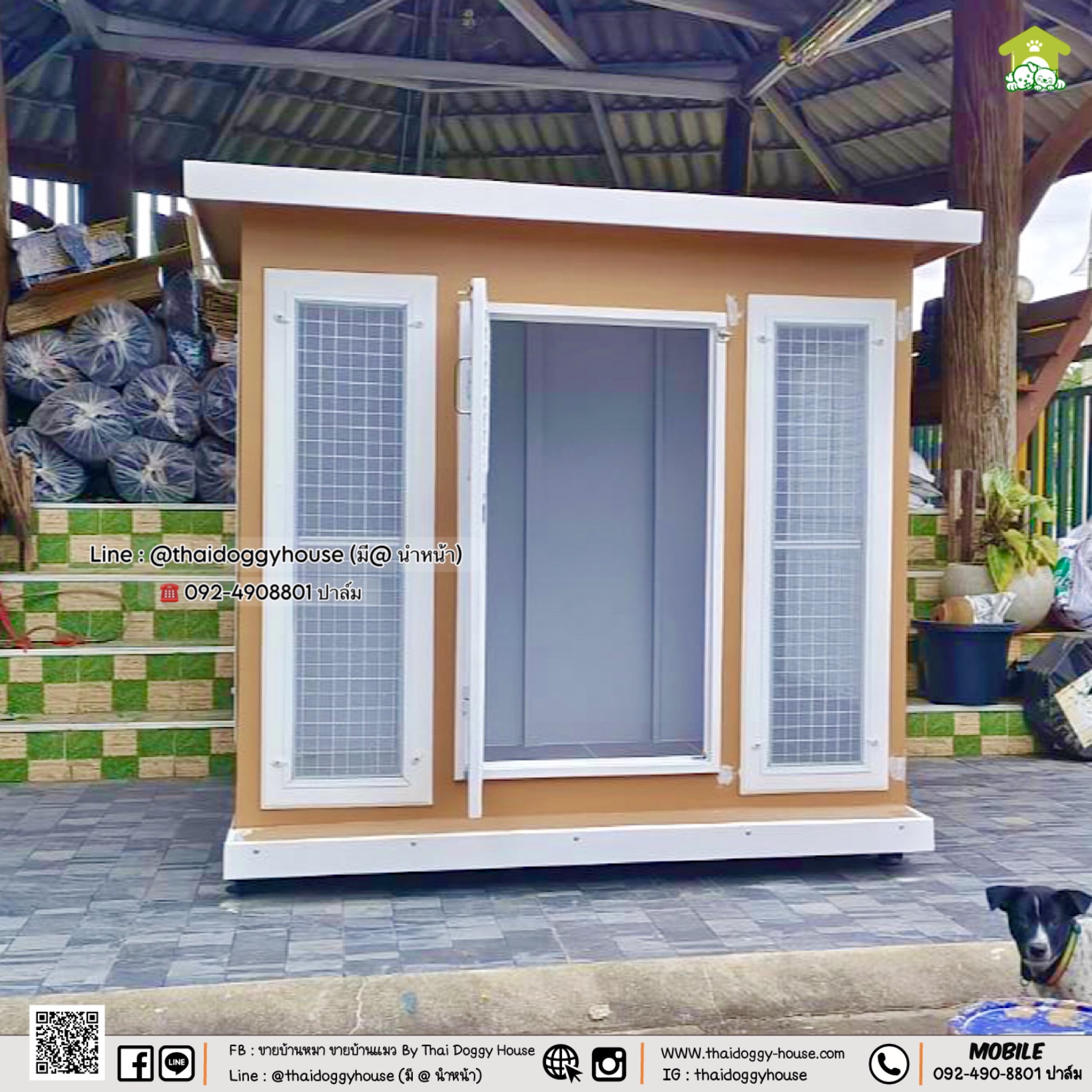 บ้านหมา บ้านแมว " 𝐁𝐎𝐗 𝐒𝐓𝐘𝐋𝐄 𝐁𝐘 𝐓𝐇𝐀𝐈 𝐃𝐎𝐆𝐆𝐘 𝐇𝐎𝐔𝐒𝐄