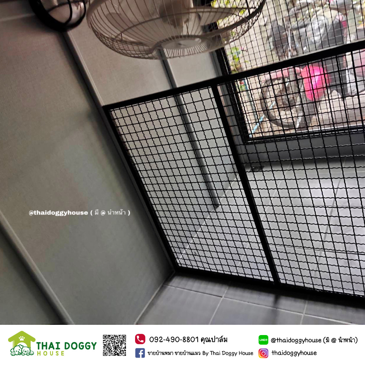 บ้านหมา บ้านแมว โทนสีแบล็คพิ้ง " BOX STYLE" ดีไซน์ทันสมัย สามารถกั้นห้อง 2 ห้องได้นะ