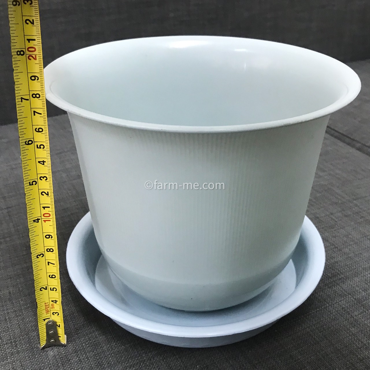 กระถางต้นไม้ ทรงถ้วยจีน ขนาด 8 นิ้ว