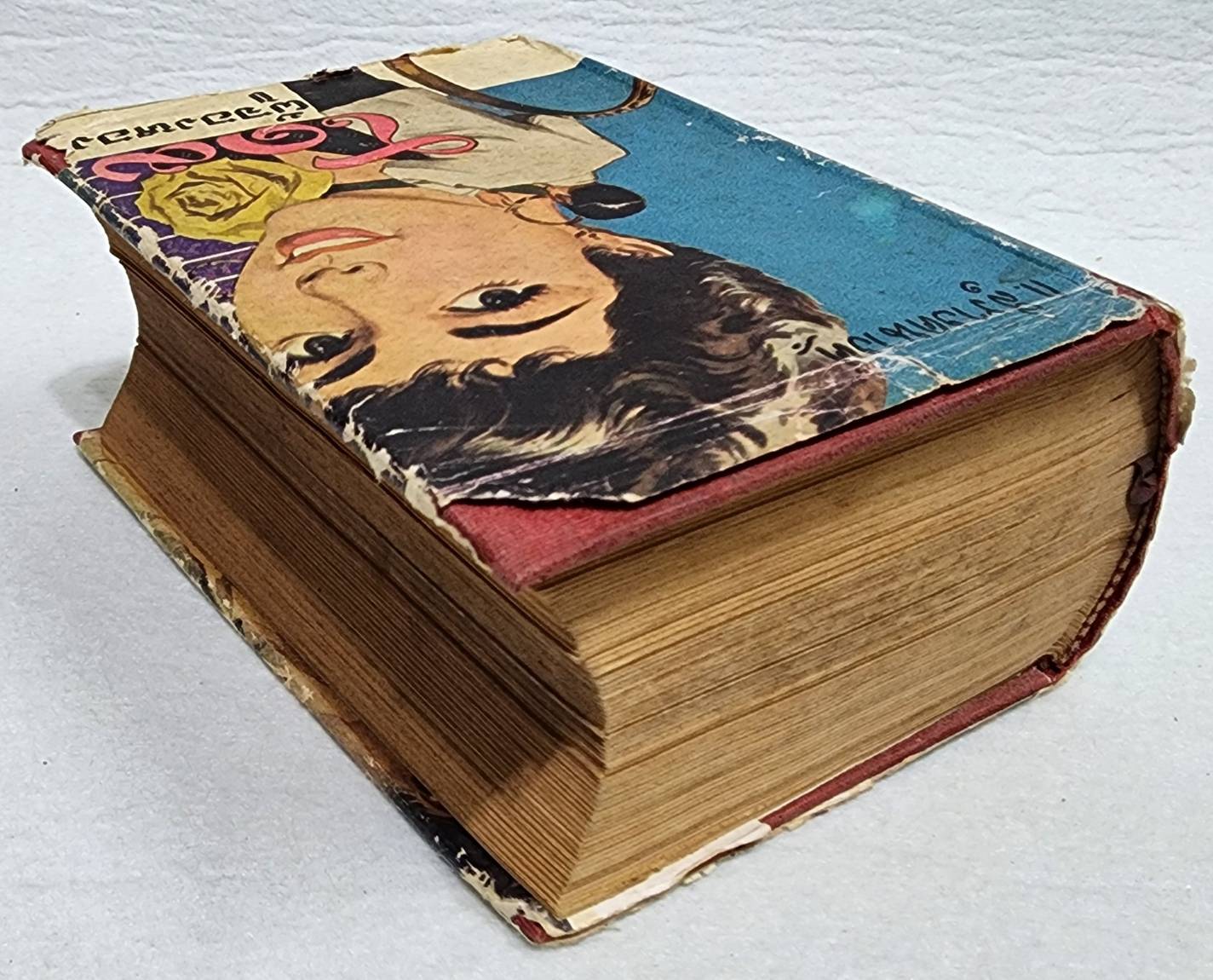 โดมผู้จองหอง (เล่มเดียวจบ) / ก. สุรางคนางค์ SKU-09954 2