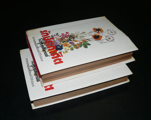 รักประกาศิต (เล่ม 1, 2)/ ก.สุรางคนางค์ 021093