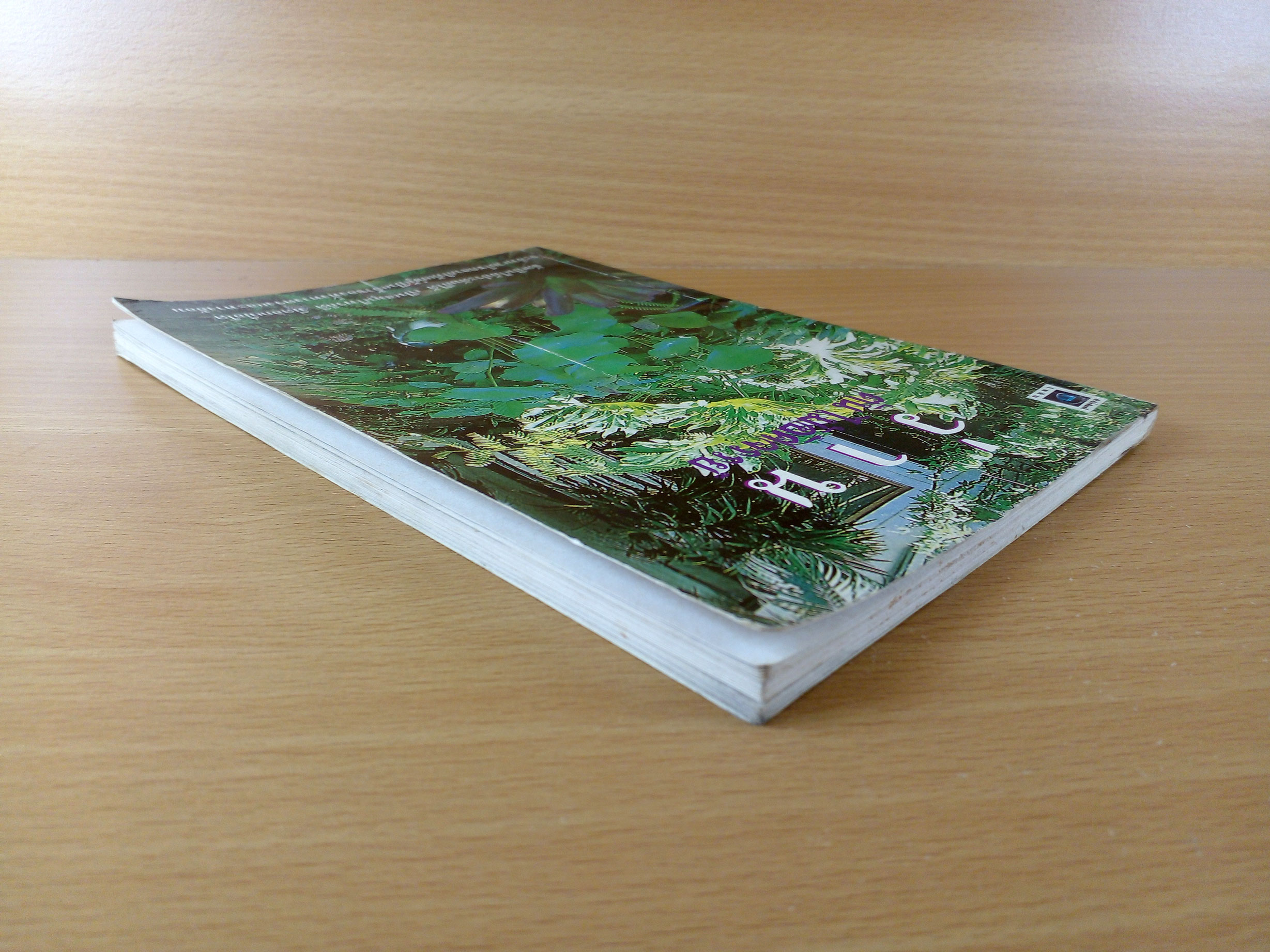 ว่าน ต้นไม้อัศจรรย์