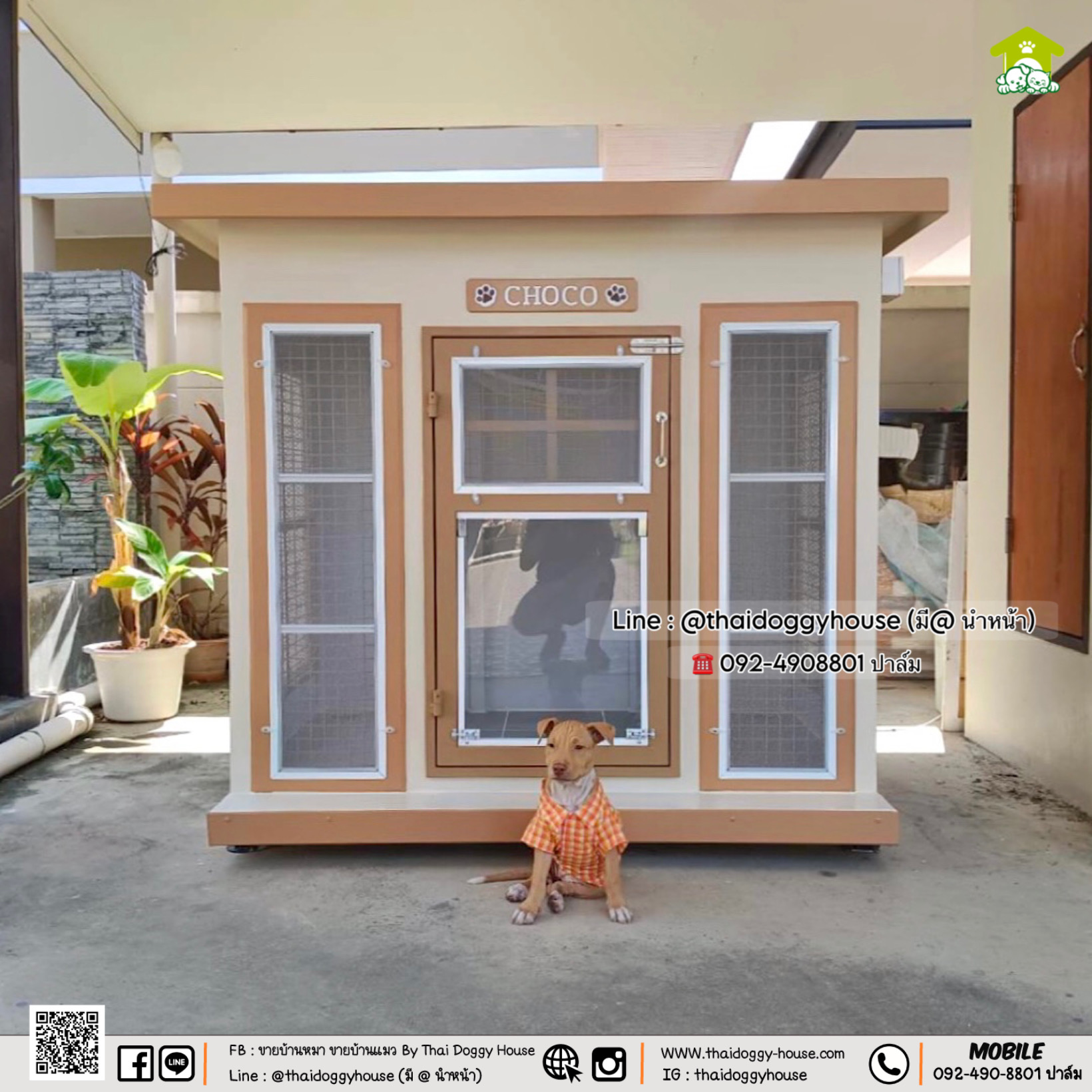 บ้านหมา บ้านแมว " 𝐁𝐎𝐗 𝐒𝐓𝐘𝐋𝐄 𝐁𝐘 𝐓𝐇𝐀𝐈 𝐃𝐎𝐆𝐆𝐘 𝐇𝐎𝐔𝐒𝐄 "
