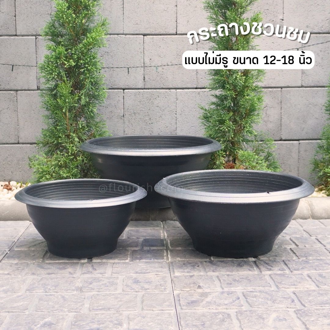 อ่างบัว (ทรงกระถางชวนชม)