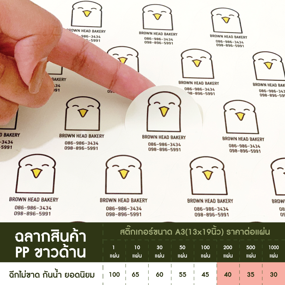 สติ๊กเกอร์ PP ขาวด้าน