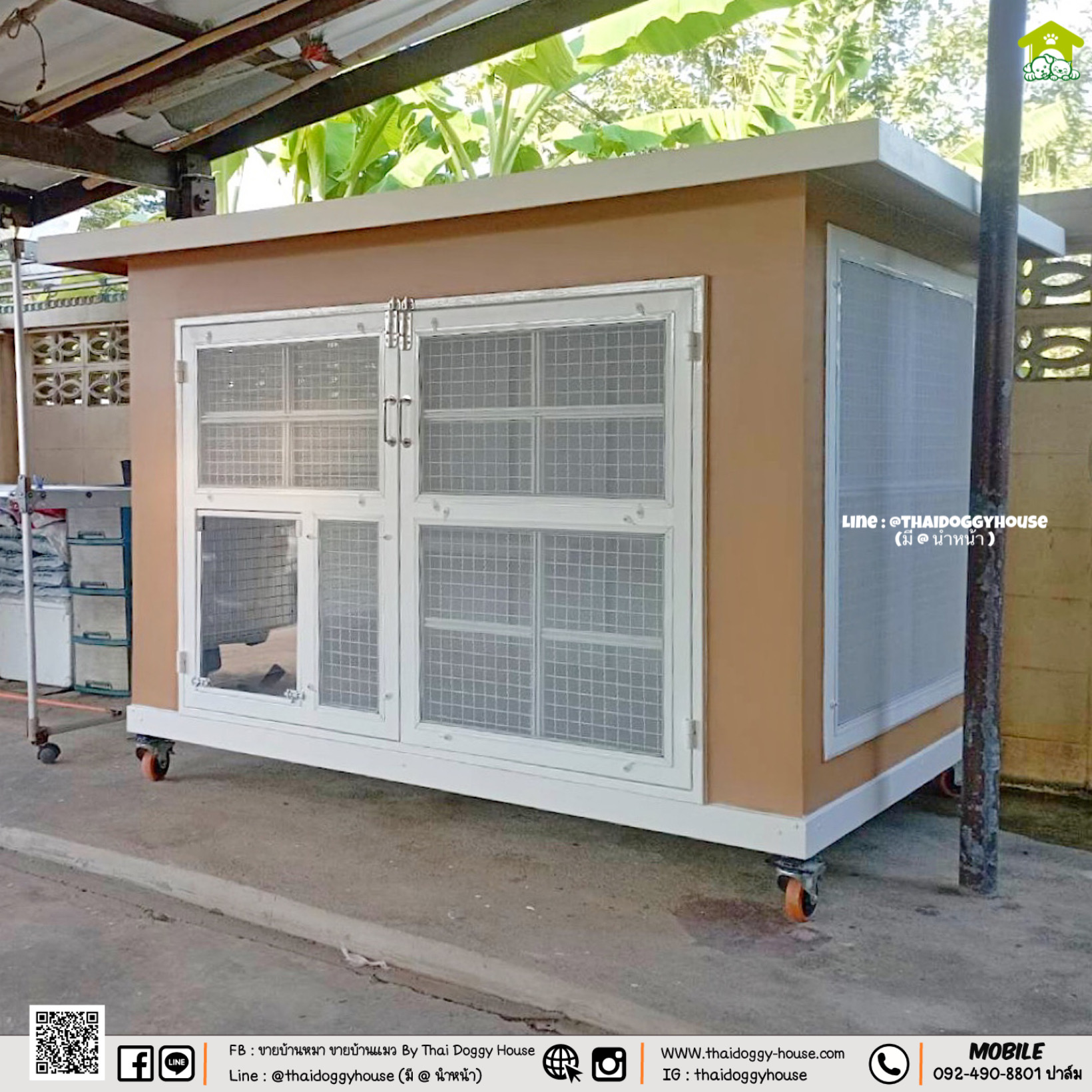 บ้านหมา บ้านแมว " 𝐁𝐎𝐗 𝐒𝐓𝐘𝐋𝐄 𝐁𝐘 𝐓𝐇𝐀𝐈 𝐃𝐎𝐆𝐆𝐘 𝐇𝐎𝐔𝐒𝐄 "