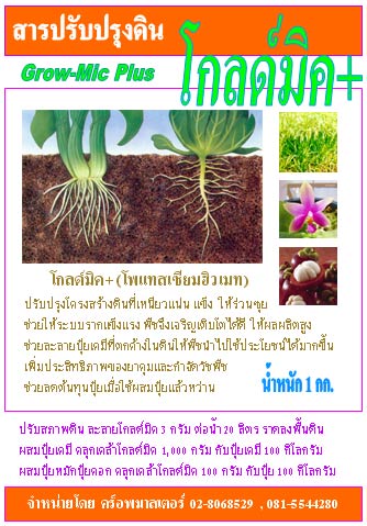 โกลด์มิค ชนิดเกล็ด ระเบิดดินให้ร่วน(โพแทสเซี่ยมฮิวเมท):ปรับปรุงดินให้โปร่งร่วนซุย ,รากแข็งแรง ดูดซึมปุ๋ยได้ดีขึ้น,ละลายปุ๋ยเคมีที่ตกค้างในดิน: 1 กก.