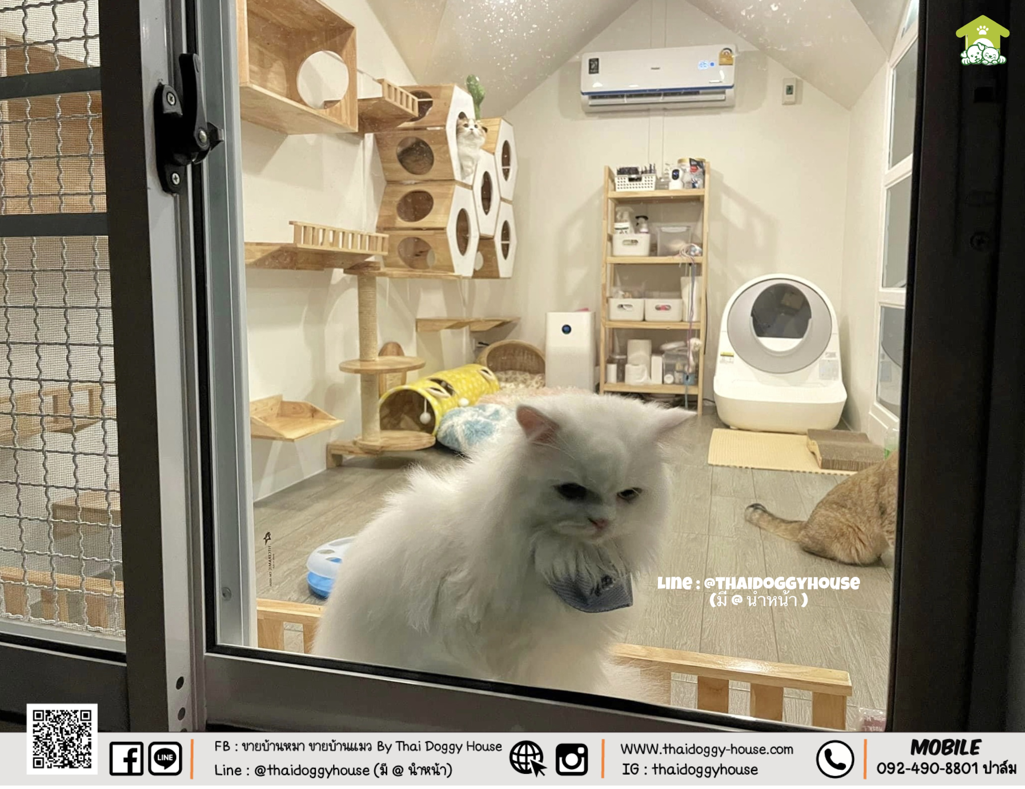 บ้านหมา บ้านแมวติดแอร์ " 𝐍𝐎𝐑𝐃𝐈𝐂 𝐒𝐓𝐘𝐋𝐄 " ฟังก์ชั่นครบ หลังใหญ่ กระจกบานใหญ่เปิดรับแสงธรรมชาติได้ดี โทนบ้านสีขาวทำให้ดูเรียบง่าย สบายตามากขึ้น