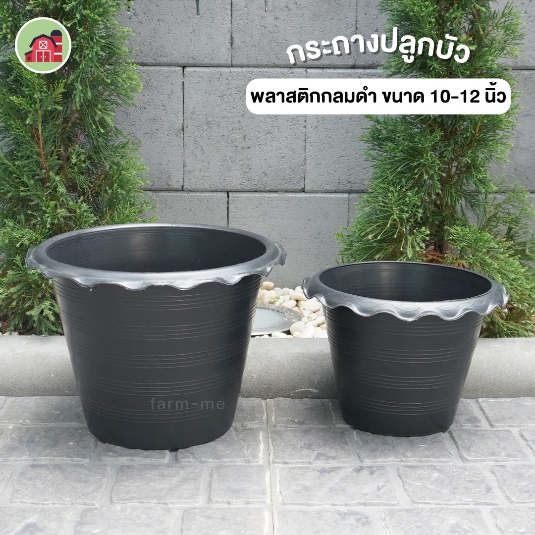 กระถางบัว