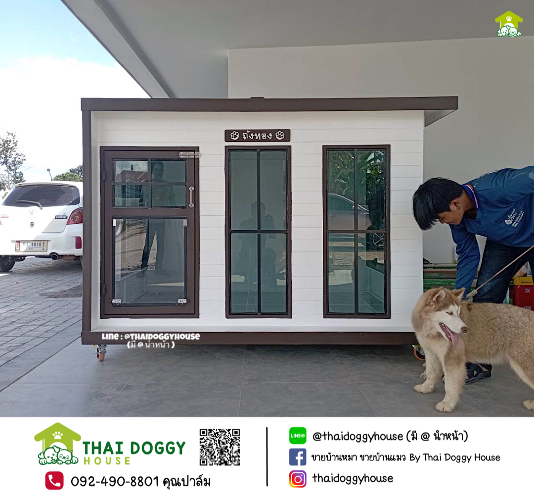 บ้านหมา บ้านแมว " 𝐁𝐎𝐗 𝐒𝐓𝐘𝐋𝐄 𝐁𝐘 𝐓𝐇𝐀𝐈 𝐃𝐎𝐆𝐆𝐘 𝐇𝐎𝐔𝐒𝐄 "