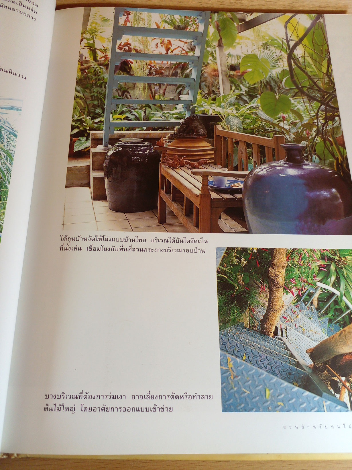 สวนสำหรับคนไม่มีสวน คำตอบสำหรับคนไม่มีพื้นที่สวน