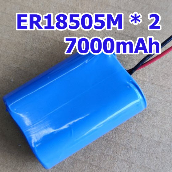 PACK ER18505M x2 + wire