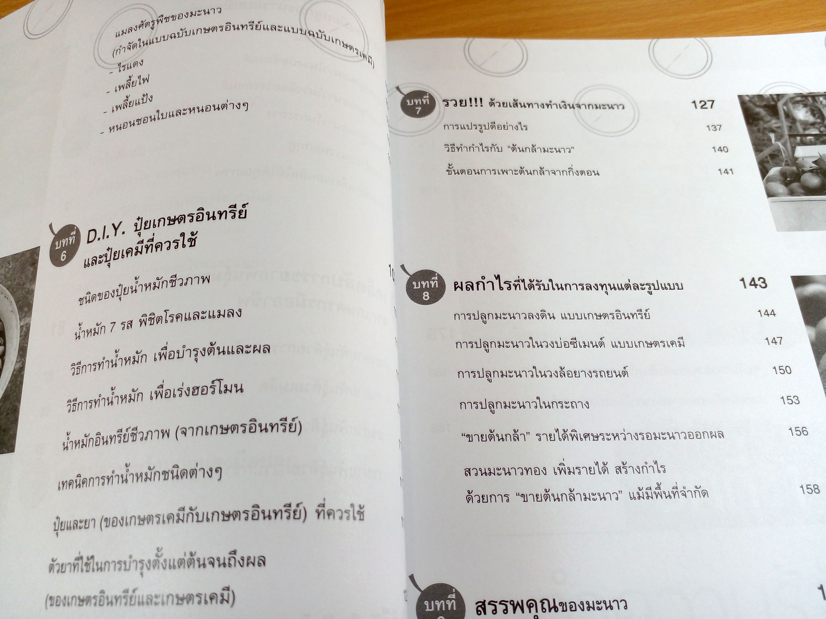 สร้างกำไรด้วยการปลูกมะนาว+ขายต้นกล้า