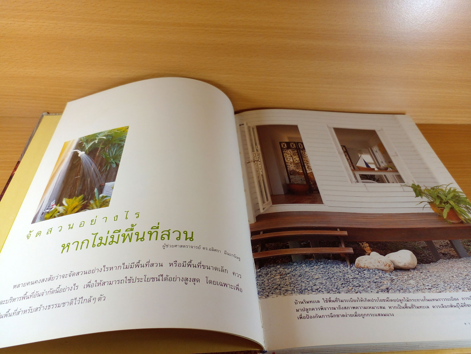 สวนสำหรับคนไม่มีสวน คำตอบสำหรับคนไม่มีพื้นที่สวน