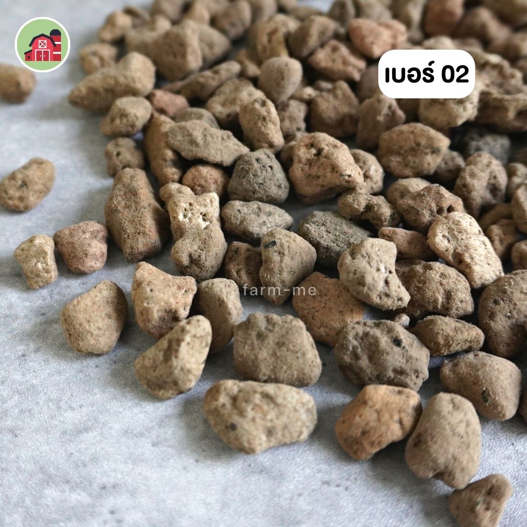 หินภูเขาไฟ