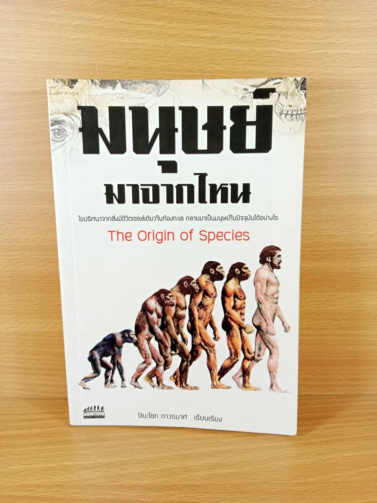 มนุษย์มาจากไหน The origin of species