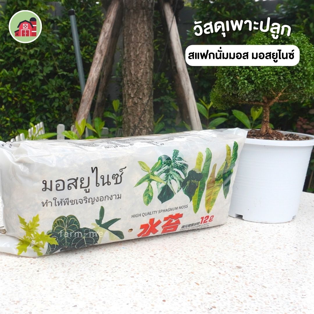 สแฟกนั่มมอส มอสยูไนซ์