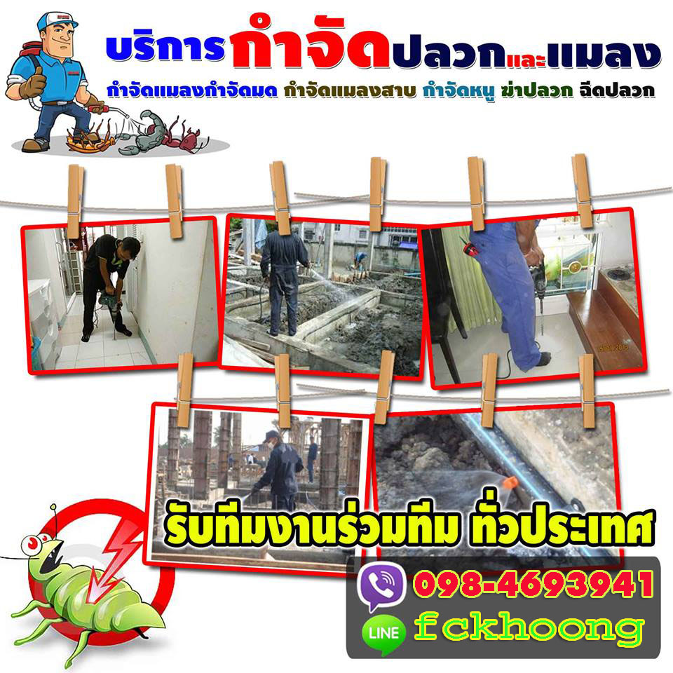 รับกำจัดปลวก