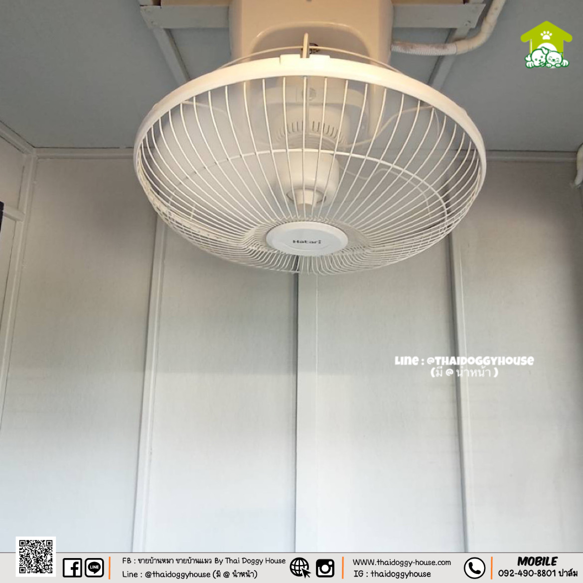 บ้านหมา บ้านแมว " 𝐁𝐎𝐗 𝐒𝐓𝐘𝐋𝐄 𝐁𝐘 𝐓𝐇𝐀𝐈 𝐃𝐎𝐆𝐆𝐘 𝐇𝐎𝐔𝐒𝐄 " หลั